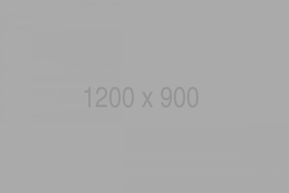 The Safari Co. - the definitive guide to Africa