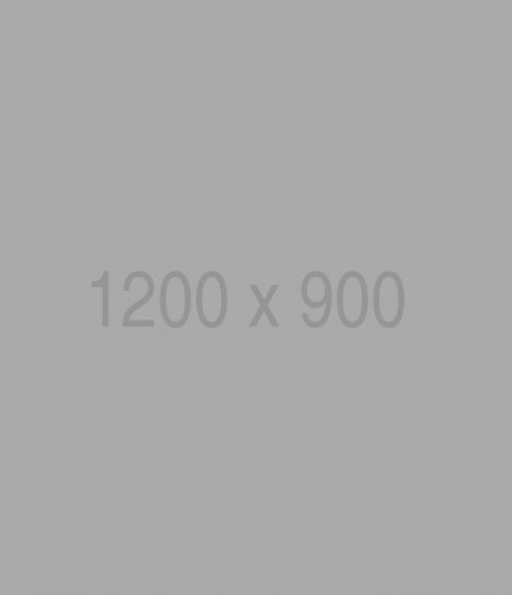 Background Contact Info